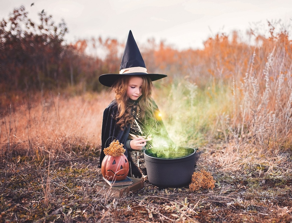 Photo by Paige Cody on Unsplash